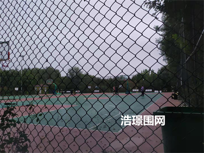 球場圍欄網(wǎng)